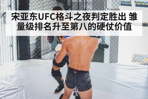 宋亚东UFC格斗之夜判定胜出 雏量级排名升至第八的硬仗价值